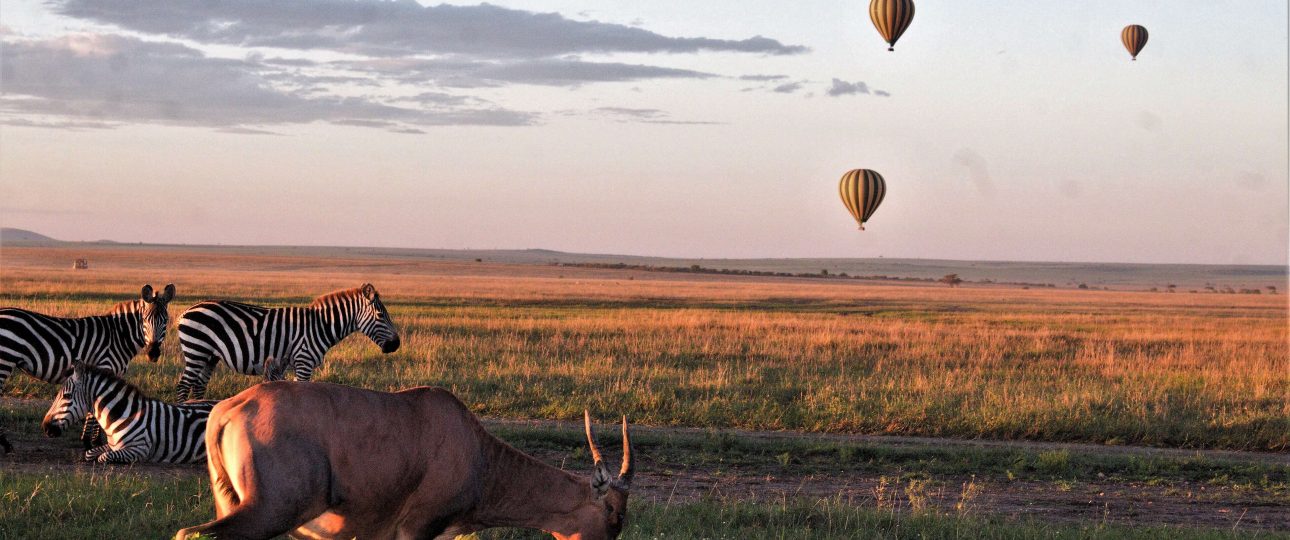 serengeti balloon safaris