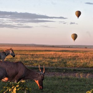 4 Day Serengeti and Ngorongro safari