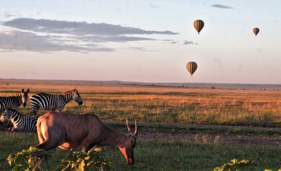 4 Day Serengeti and Ngorongro safari