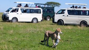 Best time to Visit Serengeti National Park