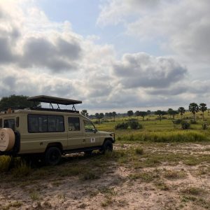 serengeti safari (5)