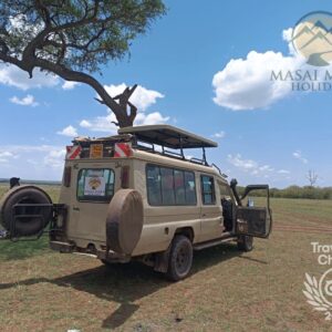 masai mara holidays (1)