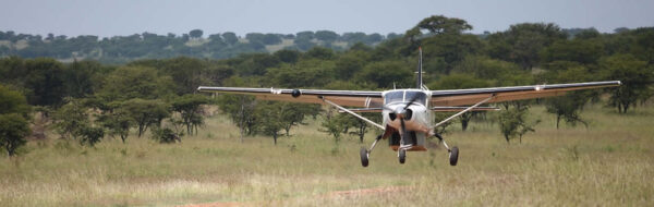 7 Day Tanzania Northern Circuit Fly-in Safari