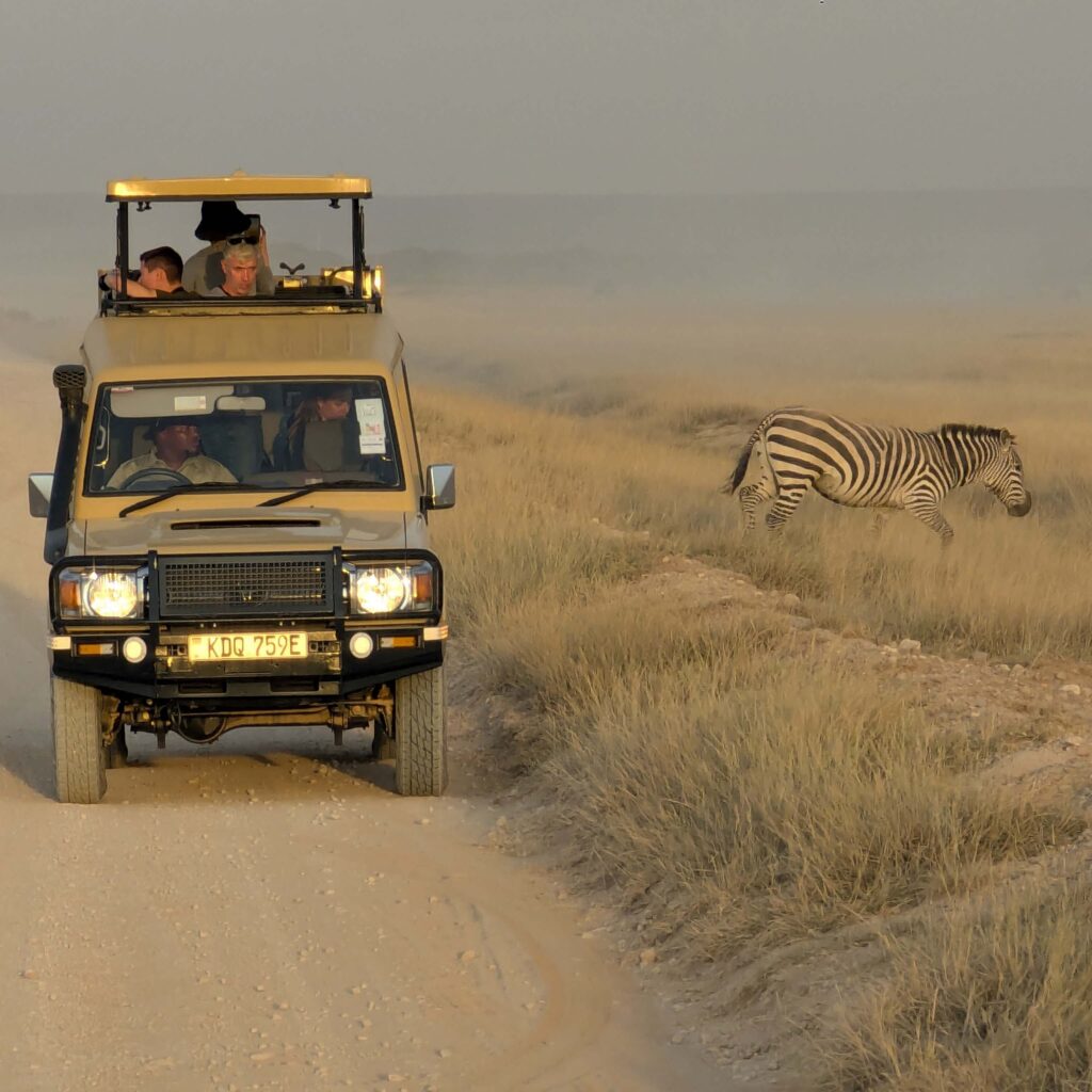 safari in serengeti national park