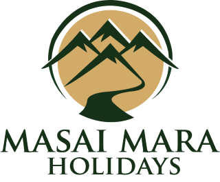 Serengeti Safari Tours